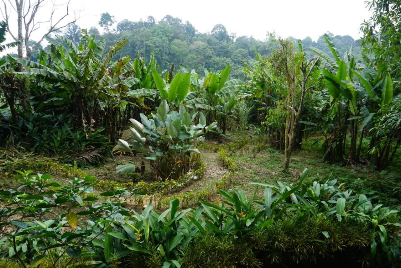 Eco-Logic, Resort For Charity Phato Bagian luar foto
